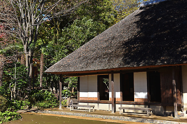 포토 JPG 주간 나무 식물 해외풍경 건축물 아시아 전통문화 고건축 일본문화 의자 주택 풍경 사람없음 야외 일본 동양건축 일본전통 일본건축 국내포토 자연요소 동양문화 전통 해외 건축 나라 문화 외국문화 가구 건물 파일형식 동양