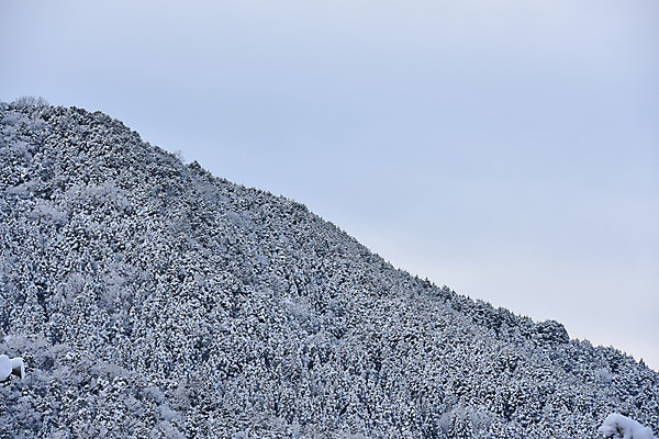 포토 JPG 주간 계절 겨울 자연 풍경 사람없음 야외 눈 겨울풍경 국내포토 자연요소 날씨 생태계 파일형식