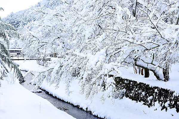 포토 JPG 주간 나무 식물 계절 겨울 자연 풍경 사람없음 야외 눈 개울 가교 겨울풍경 국내포토 자연요소 건축물 날씨 강 생태계 파일형식