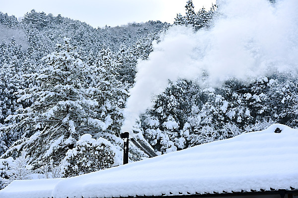 포토 JPG 주간 나무 식물 계절 겨울 자연 지붕 굴뚝 풍경 사람없음 야외 눈 연기 겨울풍경 국내포토 자연요소 날씨 생태계 파일형식