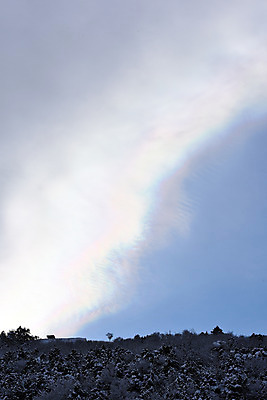 포토 JPG 주간 나무 식물 계절 무지개 겨울 자연현상 자연 하늘 풍경 사람없음 야외 눈 겨울풍경 국내포토 자연요소 날씨 생태계 파일형식
