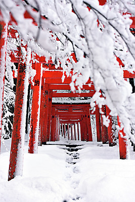 포토 JPG 주간 나무 식물 전통 해외풍경 건축물 계절 아시아 종교 고건축 겨울 일본문화 종교시설 풍경 사람없음 야외 문 일본 동양건축 원근감 눈 사찰 일본전통 일본건축 토리이 겨울풍경 국내포토 자연요소 동양문화 해외 건축 나라 뷰포인트 외국문화 종교건축 날씨 시설 신사_건축물 파일형식 동양