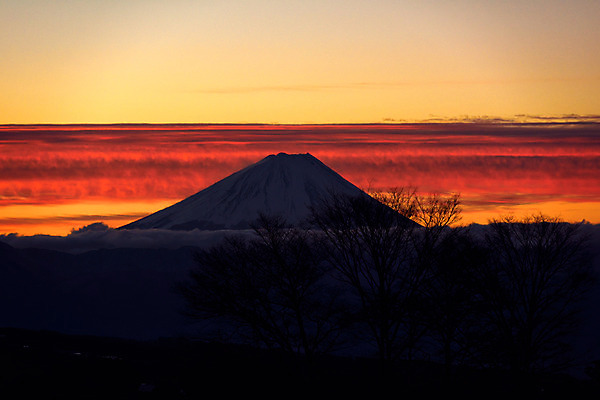 포토 JPG 나무 식물 구름 해외풍경 실루엣 아시아 자연현상 자연 하늘 산 풍경 사람없음 야외 노을 일본 어둠 눈 화산 후지산 국내포토 자연요소 해외 나라 날씨 촬영기법 세계문화유산 생태계 파일형식