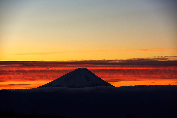 포토 JPG 해외풍경 실루엣 아시아 자연현상 자연 하늘 산 풍경 사람없음 야외 노을 일본 어둠 일몰 눈 화산 후지산 국내포토 자연요소 해외 나라 날씨 촬영기법 세계문화유산 생태계 파일형식