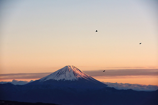 포토 JPG 주간 동물 구름 해외풍경 아시아 자연현상 자연 조류 하늘 산 풍경 사람없음 야외 노을 일본 일몰 눈 화산 후지산 국내포토 자연요소 해외 나라 날씨 세계문화유산 생태계 파일형식
