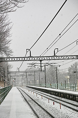 포토 JPG 주간 계절 교통 겨울 교통시설 풍경 사람없음 야외 기찻길 원근감 기차 눈 전봇대 철도의날 겨울풍경 국내포토 자연요소 공공시설 육상교통 뷰포인트 날씨 대중교통 시설 파일형식 법정기념일