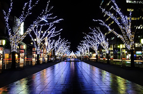 포토 JPG 나무 식물 해외풍경 길 야경 조명 거리 거리풍경 빌딩 사람없음 야외 빛 일본 원근감 도시 국내포토 해외 아시아 뷰포인트 풍경 건물 야간 파일형식 풍경_경치