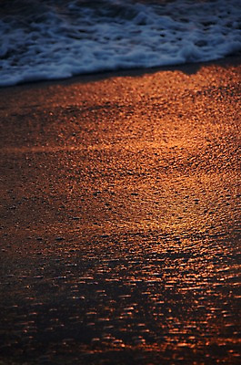 포토 JPG 파도 바다 자연현상 자연 풍경 해변 사람없음 야외 모래사장 일출 노을 국내포토 자연요소 생태계 파일형식