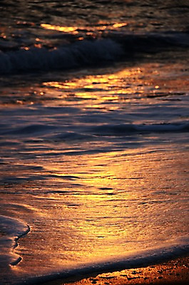 포토 JPG 파도 바다 자연현상 자연 풍경 해변 사람없음 야외 모래사장 일출 노을 국내포토 자연요소 생태계 파일형식