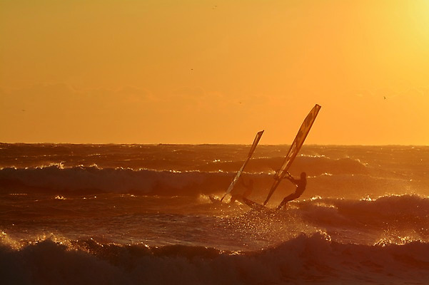 포토 JPG 파도 바다 자연현상 자연 레저 한명 사람 풍경 야외 일몰 서핑보드 서핑 서퍼 국내포토 1 운동선수 노을 수상스포츠 보드_스포츠 생태계 파일형식