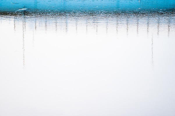 포토 JPG 주간 백그라운드 자연 물그림자 풍경 사람없음 야외 물 강 연못 국내포토 자연요소 그림자 생태계 파일형식