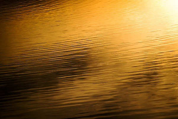 포토 JPG 주간 백그라운드 자연 풍경 사람없음 야외 물 강 노을 일몰 국내포토 자연요소 생태계 파일형식
