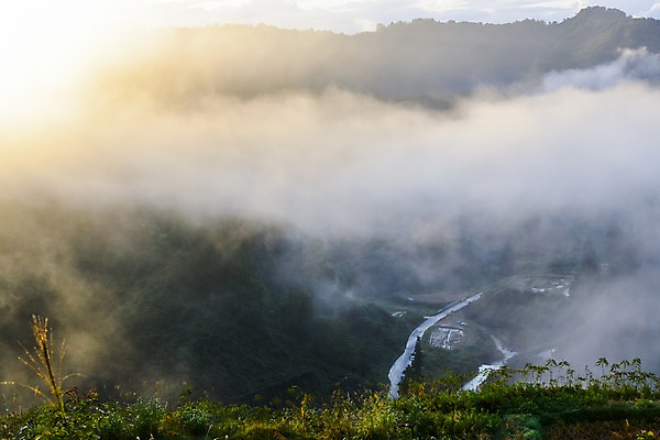 포토 JPG 주간 나무 식물 도로 자연 산 풍경 사람없음 야외 안개 숲 산기슭 국내포토 자연요소 길 교통시설 날씨 생태계 파일형식
