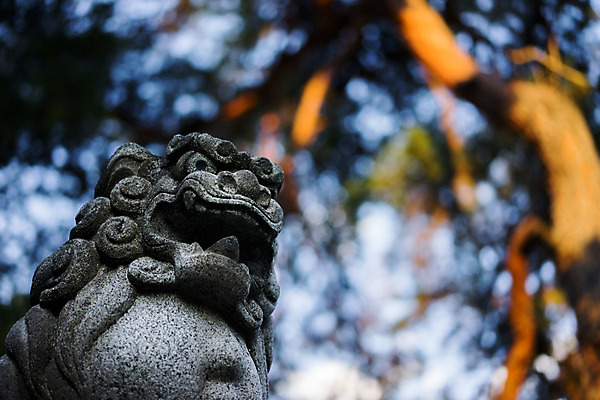 포토 JPG 주간 동물 해외풍경 아시아 종교 조각 일본문화 종교시설 풍경 사람없음 야외 아웃포커스 조각상 일본 사찰 일본전통 동물모양 조각_조소 국내포토 자연요소 모양 동양문화 전통 해외 나라 외국문화 종교건축 촬영기법 조형물 시설 조소 파일형식