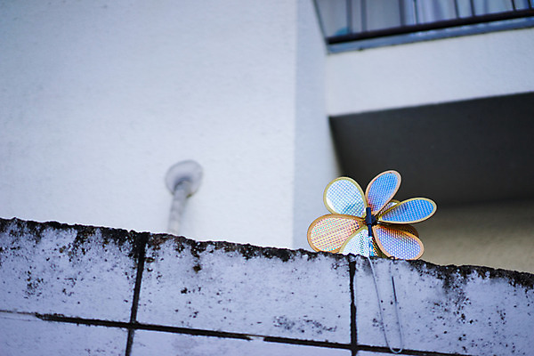 포토 JPG 주간 해외풍경 아시아 거리 거리풍경 풍경 사람없음 야외 건물 담장 도시풍경 일본 도시 빈티지 바람개비 국내포토 자연요소 해외 건축물 나라 컨셉 파일형식