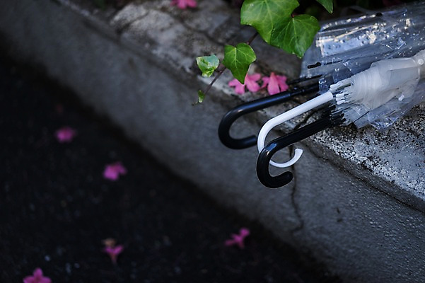 포토 JPG 주간 식물 해외풍경 꽃 아시아 우산 날씨 나뭇잎 거리 거리풍경 풍경 사람없음 야외 아웃포커스 도시풍경 일본 도시 비 국내포토 자연요소 해외 나라 잎 촬영기법 파일형식