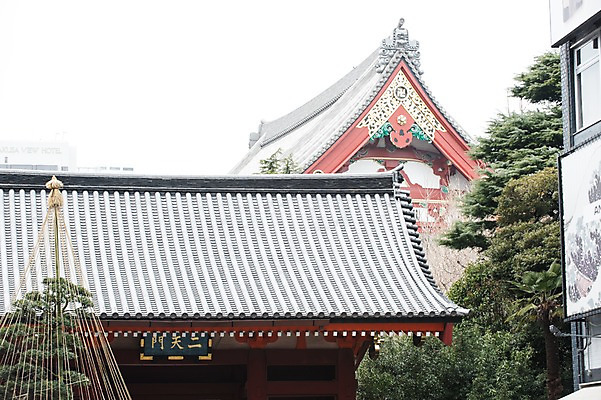 포토 JPG 주간 나무 식물 전통 해외풍경 건축물 건축 아시아 종교 고건축 일본문화 종교시설 지붕 기와 풍경 사람없음 야외 일본 동양건축 사찰 일본전통 일본건축 국내포토 자연요소 동양문화 해외 나라 외국문화 종교건축 시설 파일형식 동양