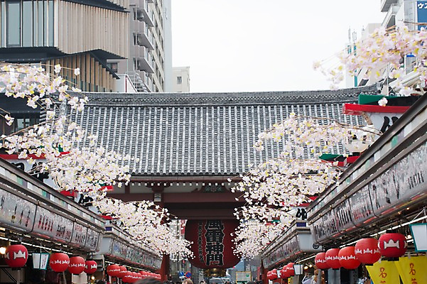 포토 JPG 주간 식물 전통 해외풍경 건축물 꽃 아시아 종교 고건축 일본문화 종교시설 풍경 사람없음 야외 일본 동양건축 사찰 일본전통 일본건축 전통등 국내포토 자연요소 동양문화 해외 건축 나라 외국문화 종교건축 조명 시설 파일형식 동양