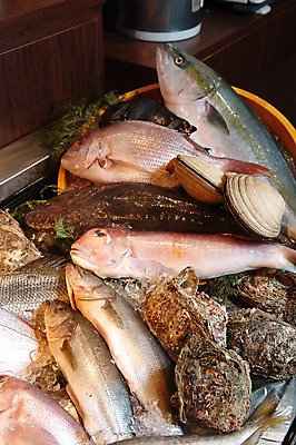 포토 JPG 식재료 재료 조개 어패류 어류 사람없음 굴 가득함 해산물 고등어 국내포토 동물 수중동물 파일형식