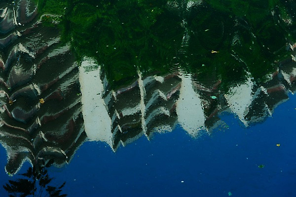 포토 JPG 주간 식물 해외풍경 건축물 아시아 자연 물그림자 그림자 풍경 빌딩 사람없음 야외 물 강 반사 일본 연못 메구로강 국내포토 자연요소 해외 건축 나라 건물 생태계 파일형식