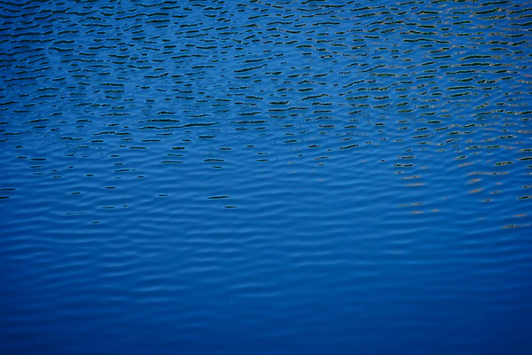 포토 JPG 주간 해외풍경 아시아 물결 백그라운드 자연 풍경 사람없음 야외 물 강 일본 연못 메구로강 국내포토 자연요소 해외 나라 생태계 파일형식