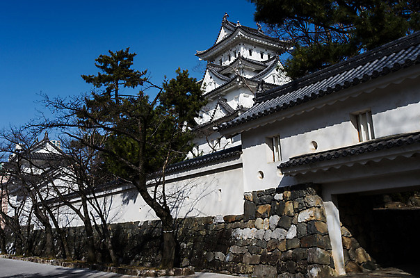 포토 JPG 주간 나무 식물 해외풍경 건축물 아시아 고건축 하늘 풍경 사람없음 야외 건물 일본 동양건축 성 일본전통 일본건축 오가키성 국내포토 자연요소 전통 해외 건축 나라 파일형식 동양