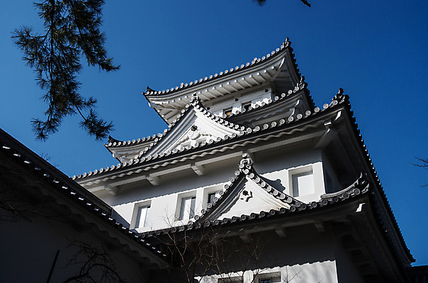 포토 JPG 주간 나무 식물 해외풍경 건축물 아시아 고건축 하늘 풍경 사람없음 야외 건물 일본 동양건축 성 일본전통 일본건축 오가키성 국내포토 자연요소 전통 해외 건축 나라 파일형식 동양