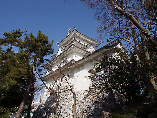 포토 JPG 주간 나무 식물 해외풍경 건축물 아시아 고건축 하늘 풍경 사람없음 야외 건물 일본 동양건축 성 일본전통 일본건축 오가키성 국내포토 자연요소 전통 해외 건축 나라 파일형식 동양