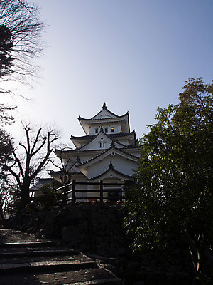 포토 JPG 주간 나무 식물 해외풍경 건축물 아시아 고건축 하늘 풍경 사람없음 야외 건물 일본 동양건축 성 일본전통 일본건축 오가키성 국내포토 자연요소 전통 해외 건축 나라 파일형식 동양