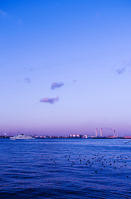 포토 JPG 주간 동물 구름 해외풍경 아시아 바다 자연 조류 하늘 굴뚝 풍경 사람없음 야외 노을 항구 일본 일몰 해안도시 요코하마 선박 국내포토 자연요소 해외 나라 수상교통 교통시설 도시 생태계 파일형식