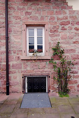 포토 JPG 주간 식물 건축물 화분 벽 창문 벽돌 외벽 사람없음 야외 건물 방범창 국내포토 자연요소 건축 파일형식