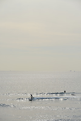포토 JPG 주간 파도 바다 자연 사람 풍경 야외 윈드서핑 서핑 서퍼 국내포토 자연요소 운동선수 수상스포츠 생태계 파일형식