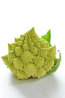 포토 JPG 음식 컬러 채소 식재료 사람없음 초록색 브로콜리 로마네스코 로마네스코브로콜리 국내포토 파일형식