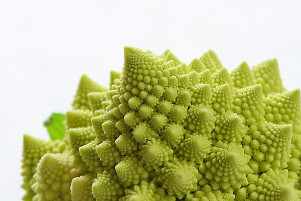 포토 JPG 음식 컬러 채소 식재료 근접촬영 사람없음 아웃포커스 초록색 브로콜리 로마네스코 로마네스코브로콜리 국내포토 뷰포인트 촬영기법 파일형식
