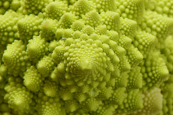 포토 JPG 음식 컬러 채소 식재료 근접촬영 사람없음 아웃포커스 초록색 브로콜리 로마네스코 로마네스코브로콜리 국내포토 뷰포인트 촬영기법 파일형식