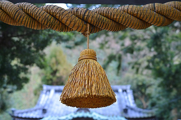 포토 JPG 주간 나무 식물 해외풍경 건축물 아시아 종교 밧줄 일본문화 풍경 사람없음 야외 아웃포커스 장식 일본 사찰 일본전통 장식술 국내포토 자연요소 동양문화 전통 해외 건축 나라 줄 외국문화 종교건축 촬영기법 파일형식