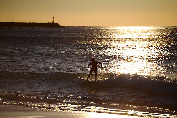 포토 JPG 주간 실루엣 파도 바다 자연 레저 한명 사람 풍경 해변 야외 노을 일몰 서핑 서퍼 국내포토 자연요소 1 운동선수 촬영기법 수상스포츠 생태계 파일형식
