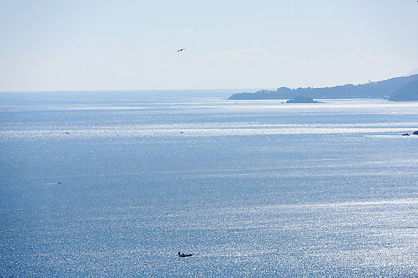 포토 JPG 주간 동물 바다 섬 자연 갈매기 조류 하늘 풍경 사람없음 야외 선박 국내포토 자연요소 수상교통 생태계 파일형식