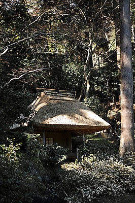 포토 JPG 주간 나무 식물 전통 해외풍경 건축물 아시아 고건축 일본문화 주택 초가집 풍경 사람없음 야외 일본 숲 일본전통 일본건축 국내포토 자연요소 동양문화 해외 건축 나라 외국문화 한옥 건물 동양건축 파일형식