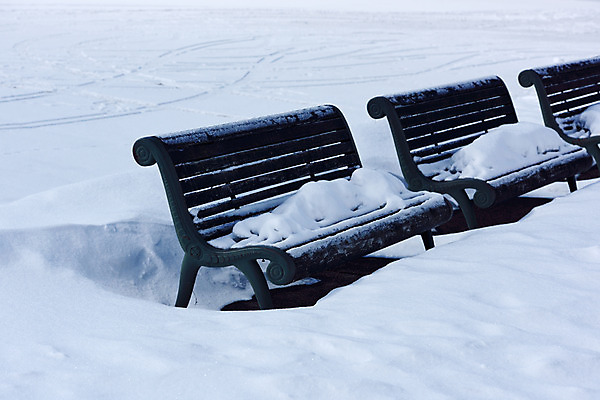 포토 JPG 주간 계절 겨울 벤치 의자 자연 풍경 사람없음 야외 눈 겨울풍경 국내포토 자연요소 가구 날씨 생태계 파일형식