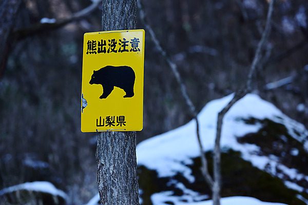 포토 JPG 주간 나무 식물 동물 계절 야생동물 겨울 곰 자연 경고 풍경 사람없음 야외 아웃포커스 일본 한자 눈 표지판 숲 겨울풍경 국내포토 자연요소 문자 아시아 포유류 날씨 알림판 촬영기법 생태계 파일형식