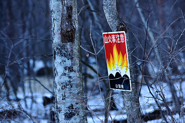 포토 JPG 주간 나무 식물 계절 겨울 자연 불 풍경 사람없음 야외 아웃포커스 일본 한자 표지판 숲 불조심 겨울풍경 국내포토 자연요소 문자 아시아 알림판 촬영기법 생태계 파일형식