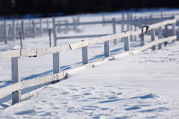 포토 JPG 주간 계절 겨울 자연 풍경 사람없음 야외 아웃포커스 울타리 설원 눈 겨울풍경 국내포토 자연요소 날씨 눈_날씨 촬영기법 담장 생태계 파일형식