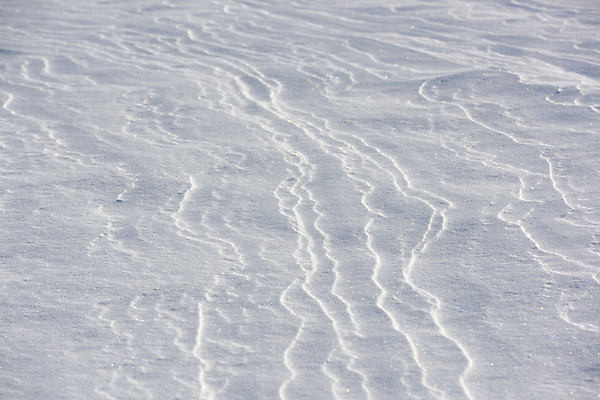 포토 JPG 주간 계절 백그라운드 겨울 무늬 자연 풍경 사람없음 야외 설원 눈 겨울풍경 국내포토 자연요소 날씨 눈_날씨 생태계 파일형식