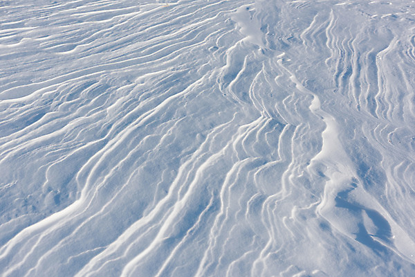 포토 JPG 주간 계절 백그라운드 겨울 무늬 자연 풍경 사람없음 야외 설원 눈 겨울풍경 국내포토 자연요소 날씨 눈_날씨 생태계 파일형식