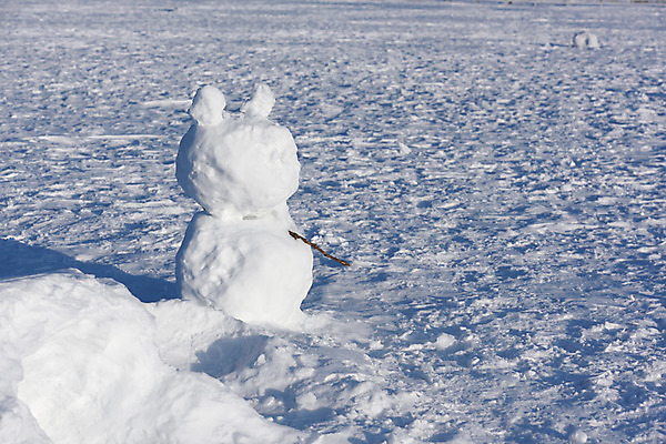 포토 JPG 주간 계절 겨울 자연 눈사람 풍경 사람없음 야외 설원 눈 겨울풍경 국내포토 자연요소 날씨 눈_날씨 생태계 파일형식
