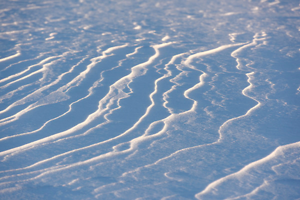 포토 JPG 주간 계절 백그라운드 겨울 무늬 자연 풍경 사람없음 야외 눈 겨울풍경 국내포토 자연요소 날씨 생태계 파일형식