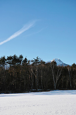 포토 JPG 주간 나무 식물 구름 해외풍경 계절 아시아 겨울 자연 하늘 산 풍경 사람없음 야외 일본 눈 숲 겨울풍경 국내포토 자연요소 해외 나라 날씨 생태계 파일형식