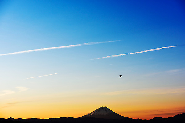 포토 JPG 주간 동물 구름 해외풍경 실루엣 아시아 자연현상 자연 조류 하늘 산 풍경 사람없음 야외 노을 일본 일몰 후지산 비행운 국내포토 자연요소 해외 나라 촬영기법 세계문화유산 생태계 파일형식 구름_자연