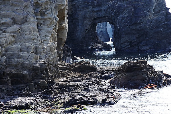 포토 JPG 주간 바다 자연 풍경 해변 사람없음 야외 돌_바위 바위 굴 동굴 국내포토 자연요소 어패류 생태계 파일형식